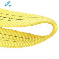 Colorful Polyester Material Webbing Sling Lifting Belt